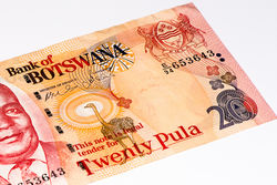 Twenty Pula