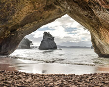 North Island