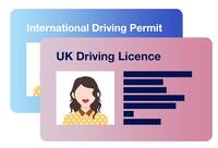 driving licence vector