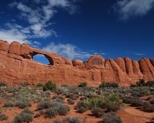 Moab and Arches National Park