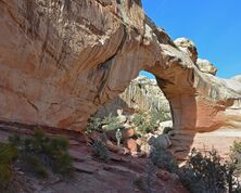 Capitol Reef National Park