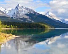 Jasper