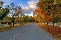 Vermont
