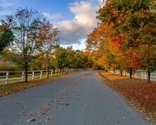 Vermont
