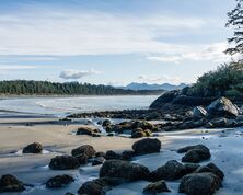 Tofino