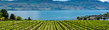 Okanagan Valley