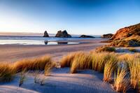 Wharariki Beach