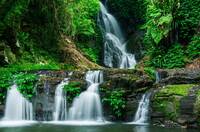 Waterfalls in Lamington