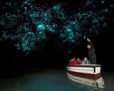 Waitomo Caves