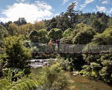 Coromandel