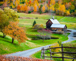 Colours of New England