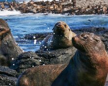 Moss Landing