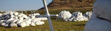 Kwazulu Natal Battlefields