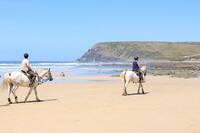 Morgan Bay