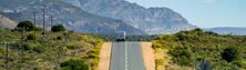 The Garden Route