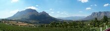 Stellenbosch