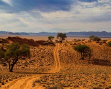 Highlights of Namibia