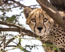 Highlights of Limpopo Province, Southern Africa