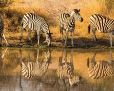 Highlights of Mpumalanga Province, South Africa