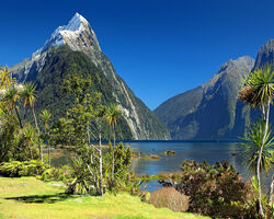 South Island Discovery