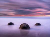 Dunedin