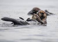 Moss Landing