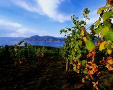 Okanagan Valley