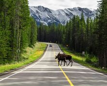 Canada Motorhome Holidays