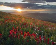 Sun Peaks