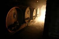 Wine casks