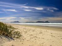 Bream Bay