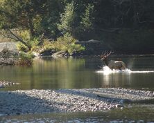 Campbell River