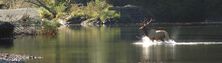 Campbell River