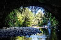 Karamea  ©Look / robertharding