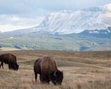 Waterton Lakes National Park