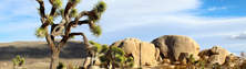 Joshua Tree National Park