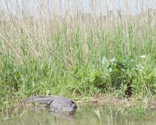 Everglades National Park