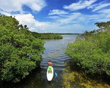 Pennekamp National Park