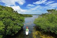Pennekamp National Park