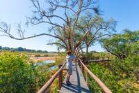 Tourist looking at panorama with binocular from viewpoint over the Olifants river, scenic and colorful landscape with wildlife in the Kruger National Park