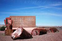 Petrified Forest National Park