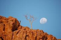 Rock formations of Twyfelfontein