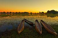 Okavango Delta