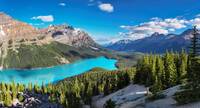 Peyto Lake, Alberta