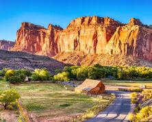 Frequently Asked Questions