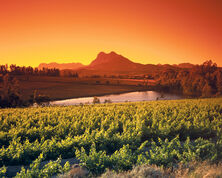 Southern Africa FAQ's