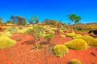 Finke Gorge National Park