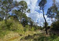 Hepburn Mineral Springs Reserve