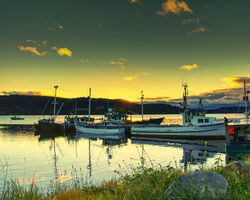 Tasmania - The Wild Island State