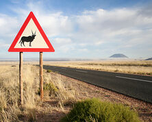 Namibia - Driving Tips